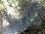 2009-09-25 11-07-07L